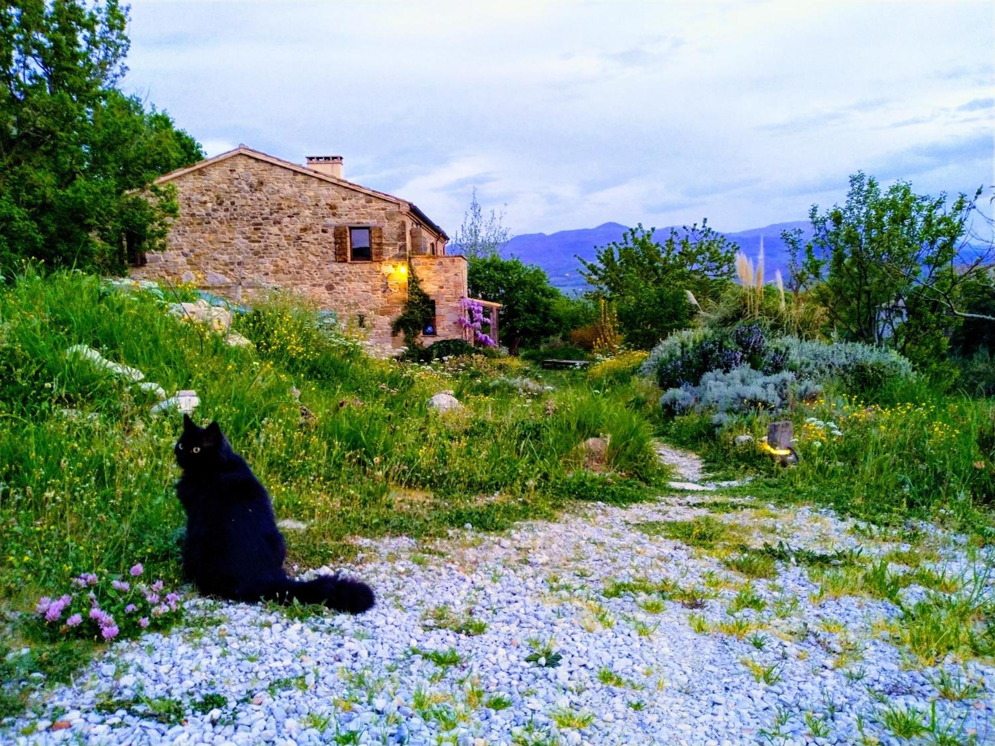 Sasso Erminia R&B Ecosostenibile Novafeltria Εξωτερικό φωτογραφία