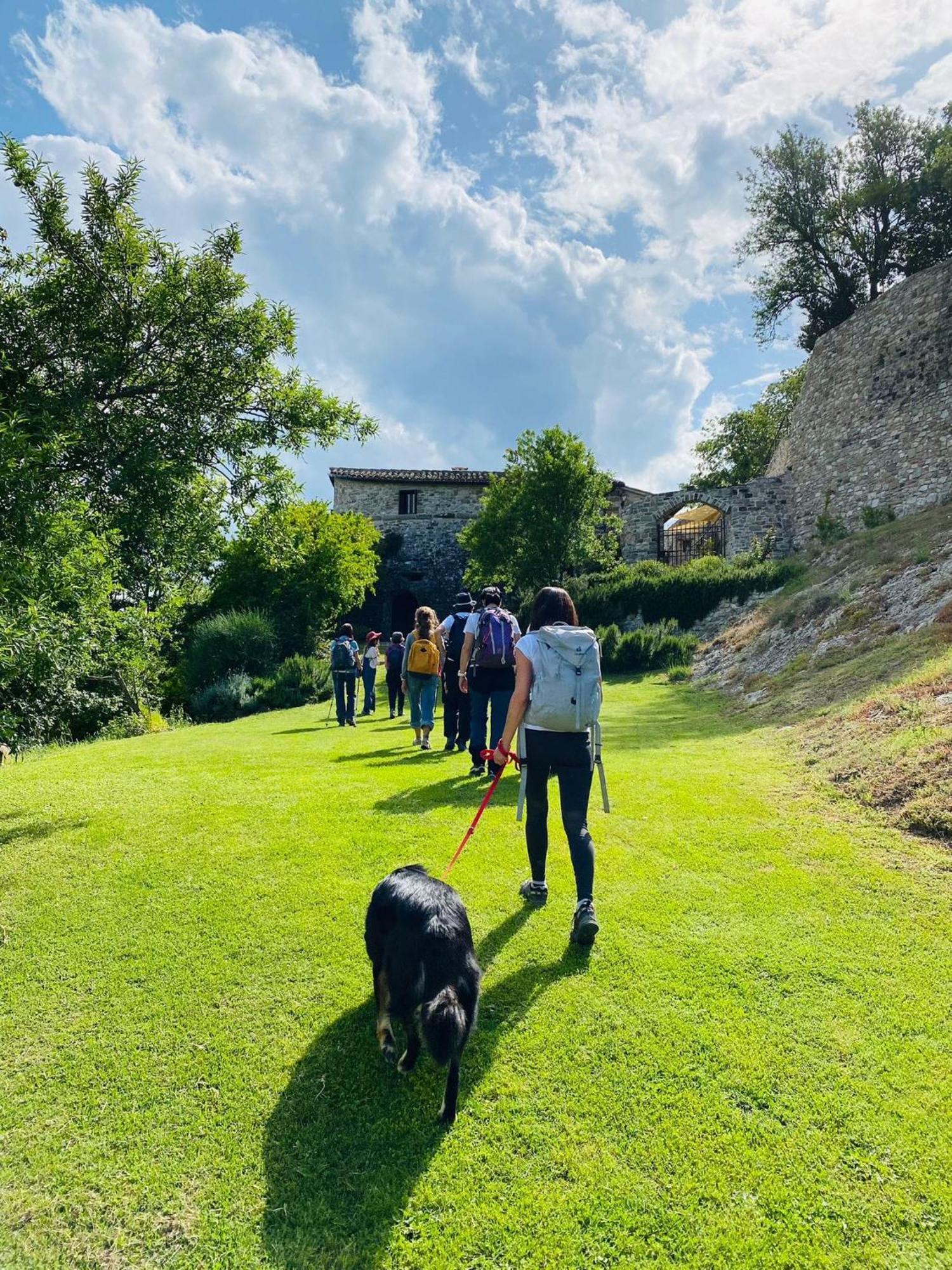 Sasso Erminia R&B Ecosostenibile Novafeltria Εξωτερικό φωτογραφία